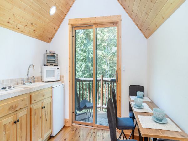 Telluride Home 994234