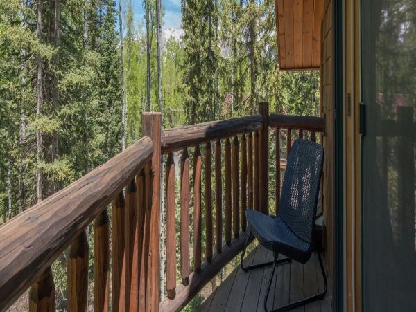 Telluride Home 994234