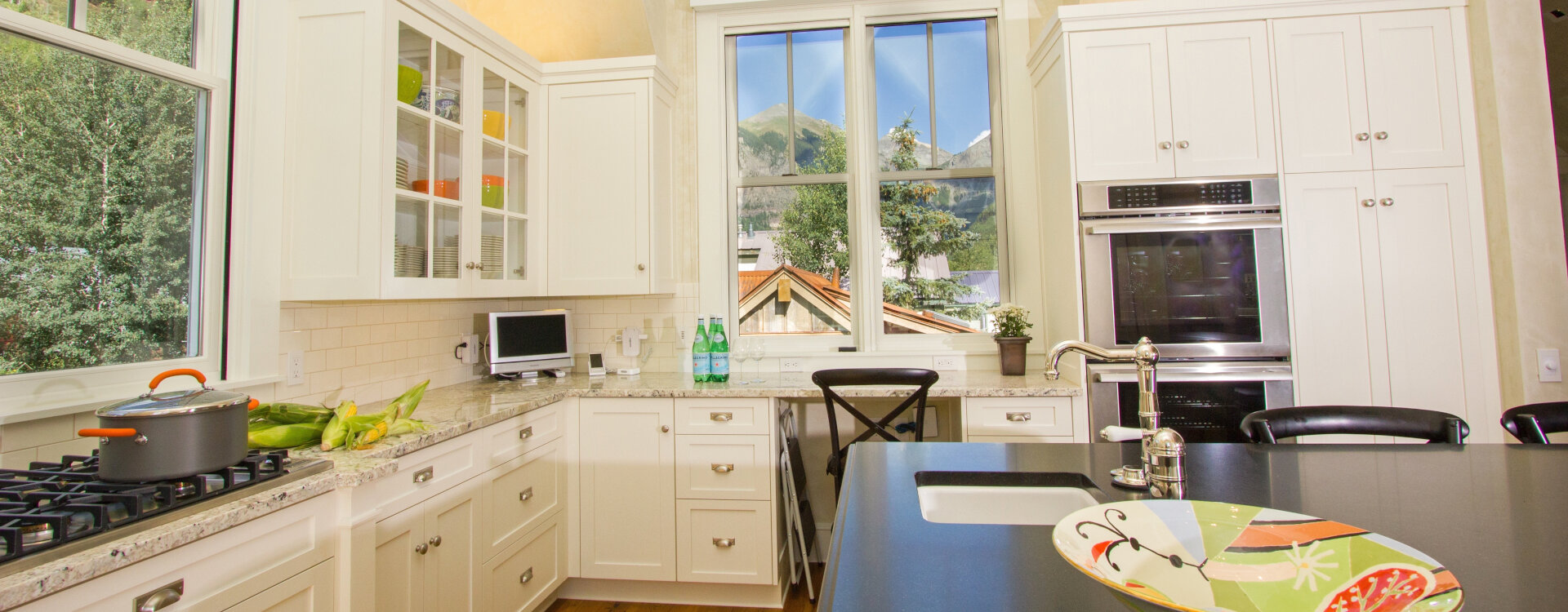Telluride Home 994235