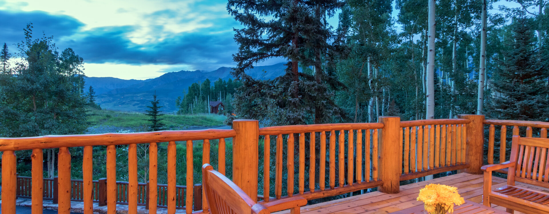Telluride Home 994238