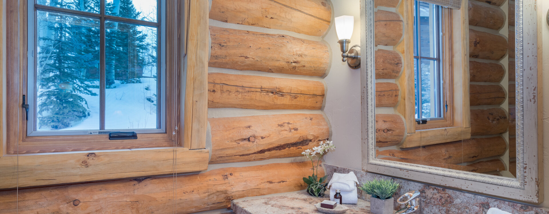 Telluride Home 994238