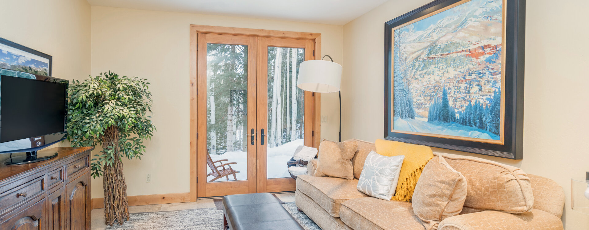 Telluride Home 994238