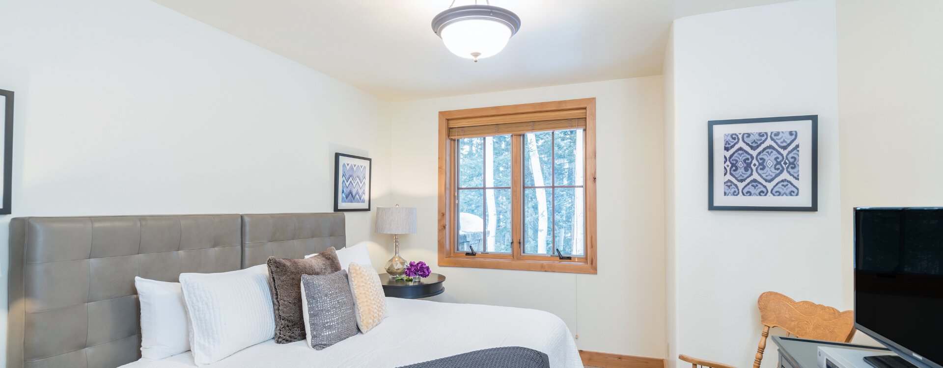 Telluride Home 994238