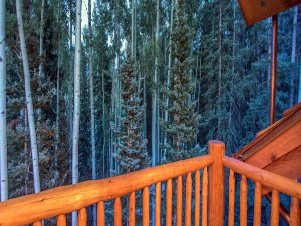 Telluride Home 994238
