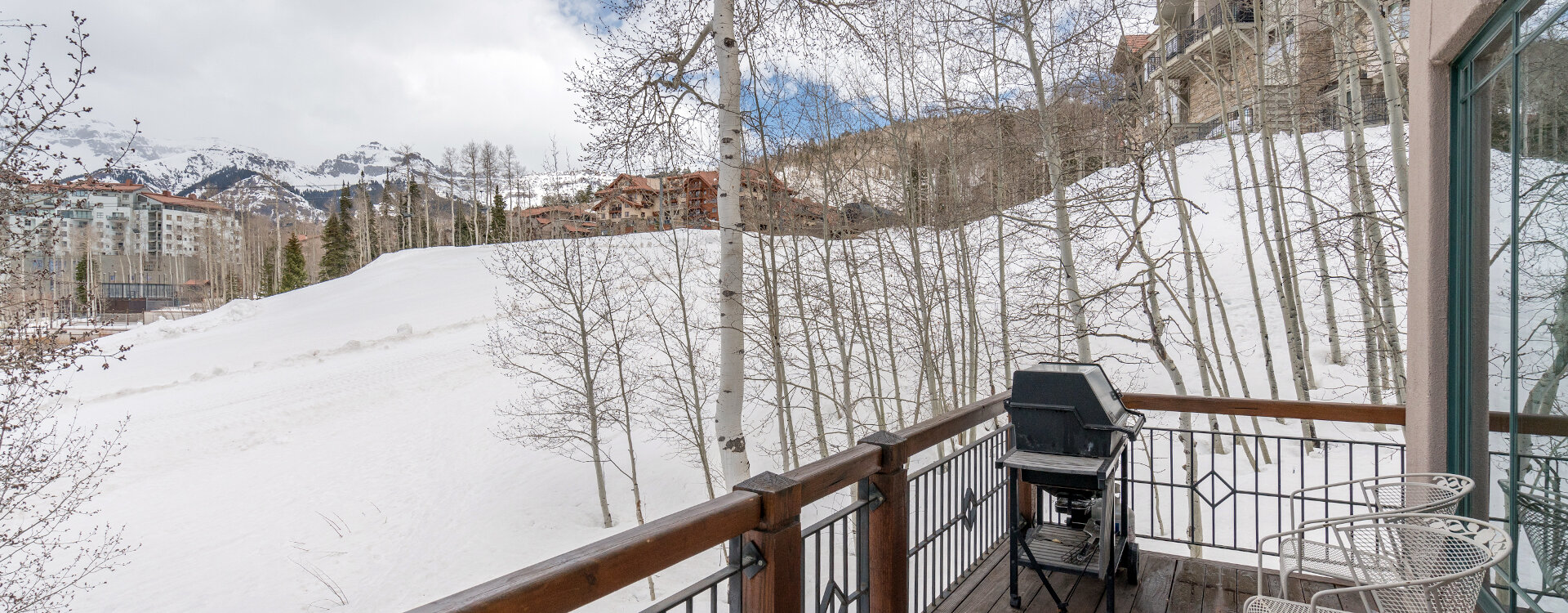 Telluride Home 994239