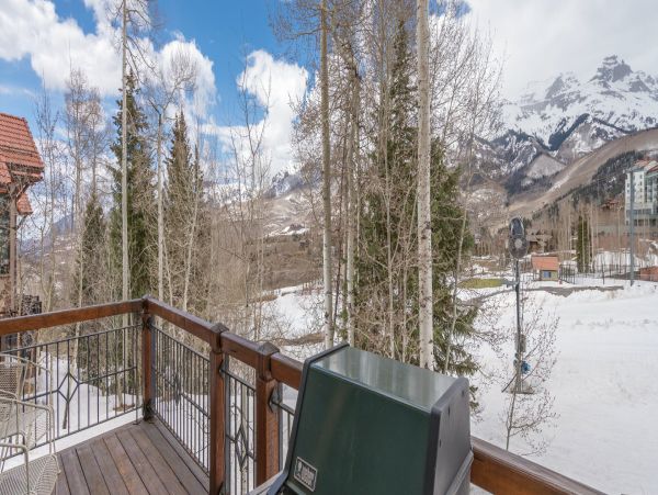 Telluride Home 994239