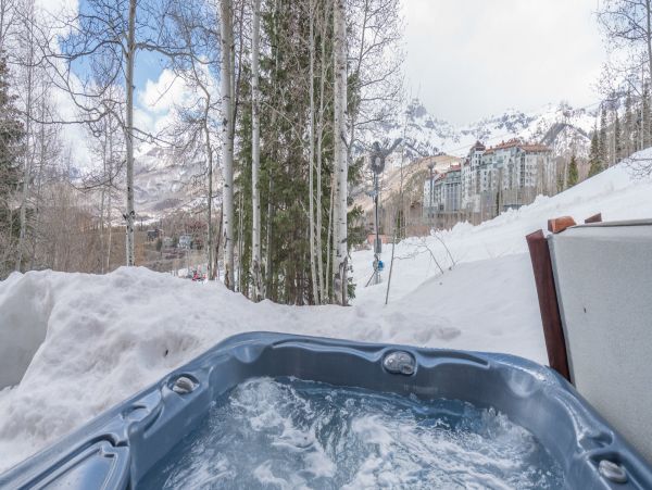 Telluride Home 994239