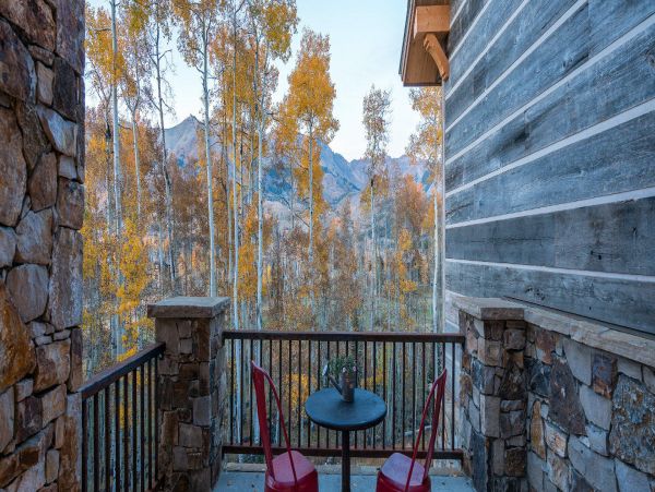 Telluride Home 994242