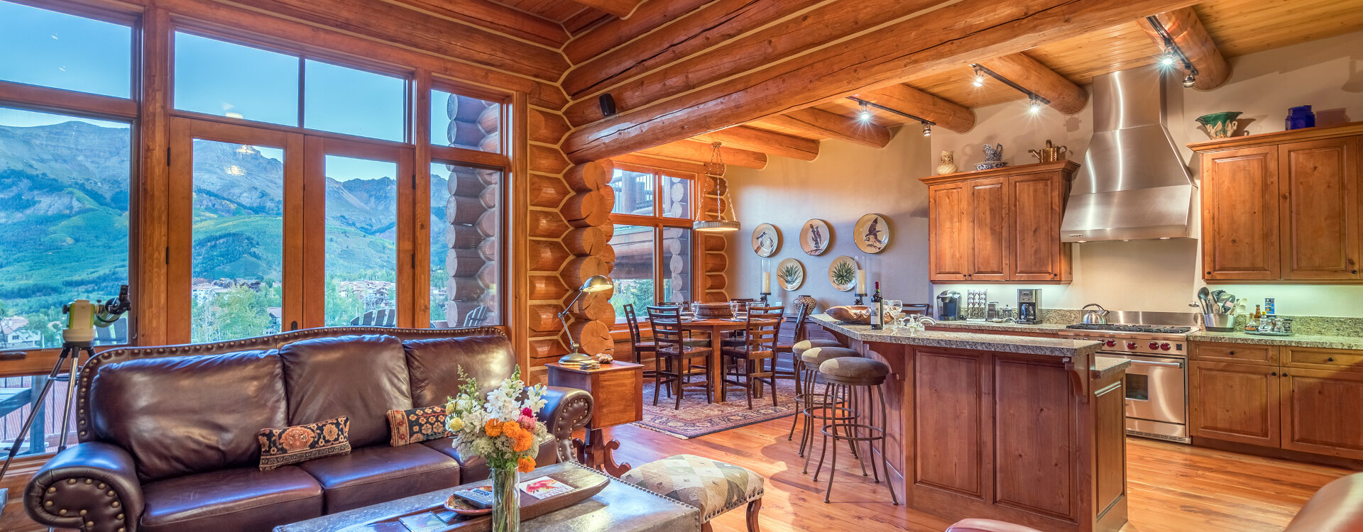 Telluride Home 994243