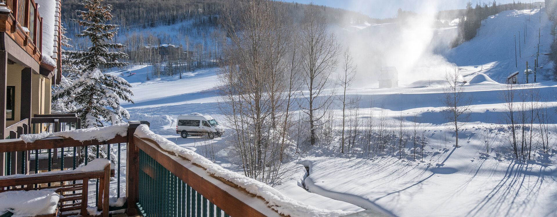 Telluride Home 994246