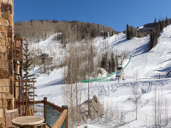 Telluride Home 994246