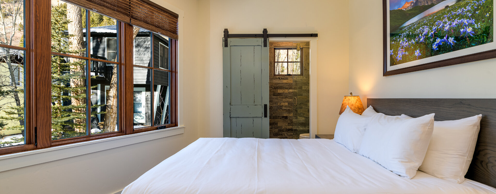 Telluride Home 994248