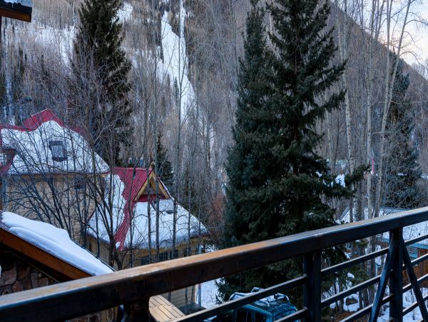 Telluride Home 994248