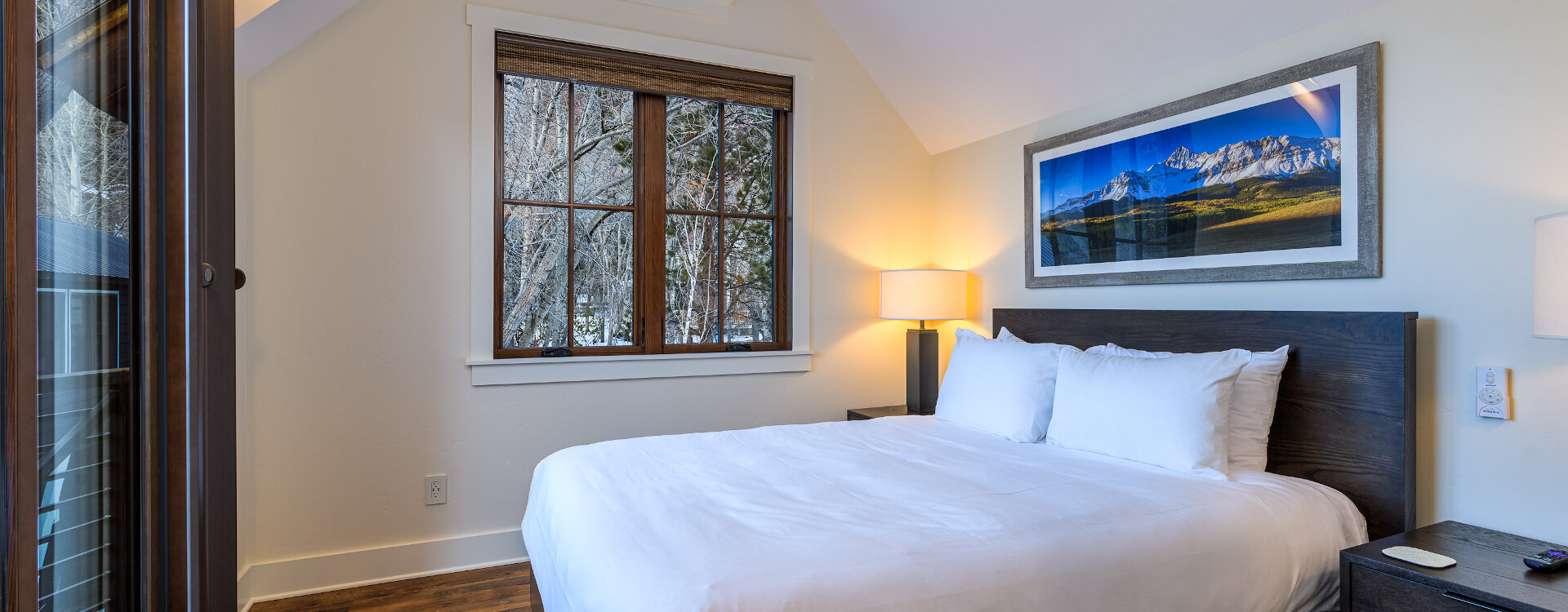 Telluride Home 994248
