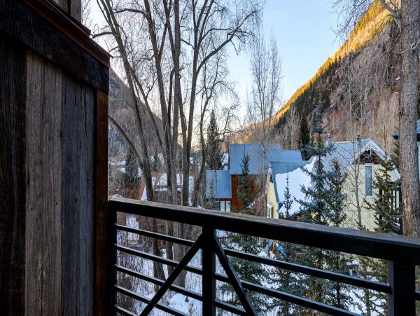 Telluride Home 994248