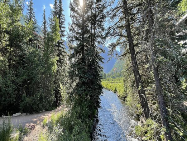 Telluride Home 994251