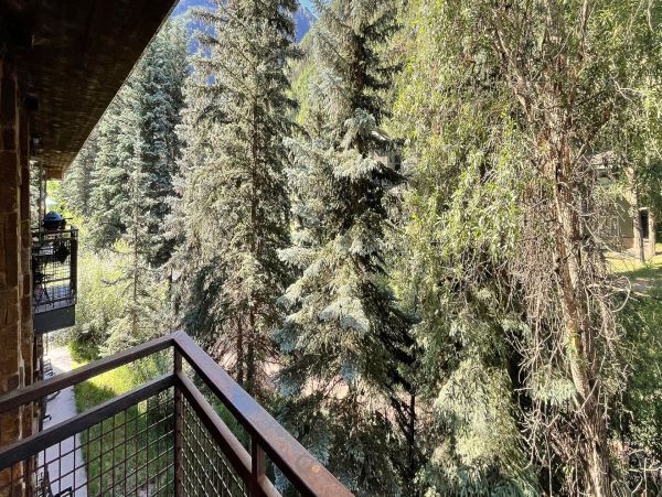 Telluride Home 994251