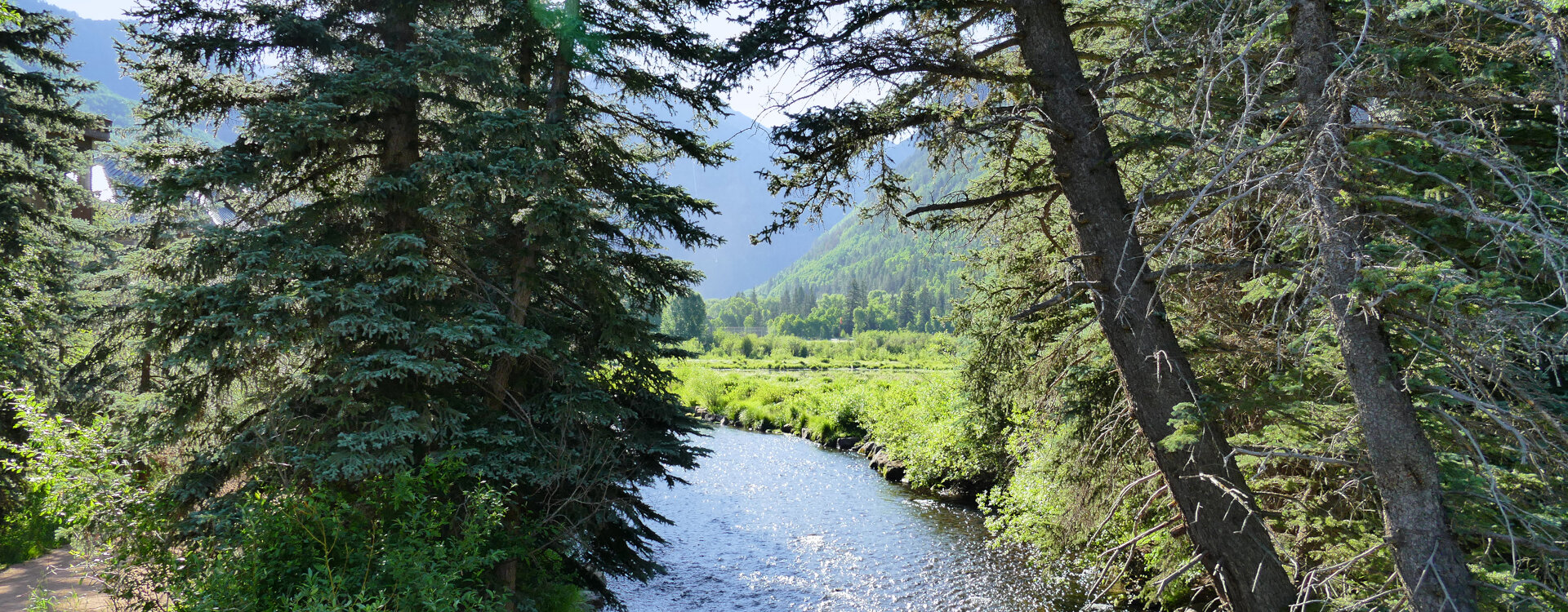 Telluride Home 994251
