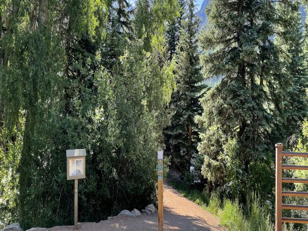 Telluride Home 994251