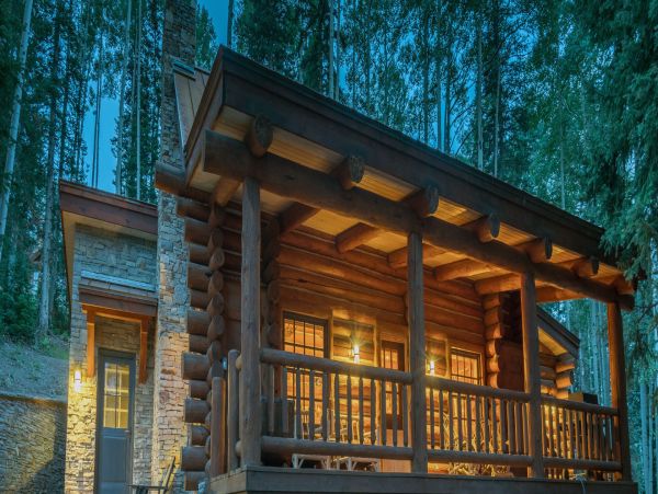 Telluride Home 994252
