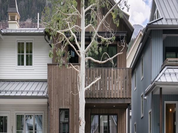 Telluride Home 994255