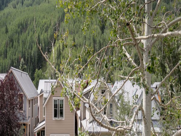 Telluride Home 994255