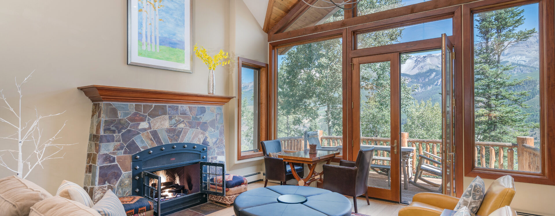 Telluride Home 994260