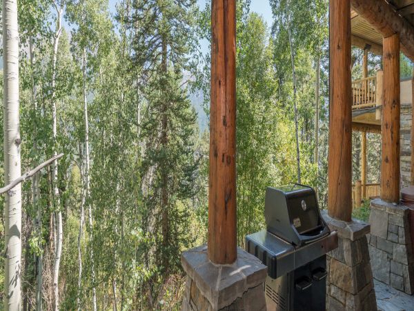 Telluride Home 994260