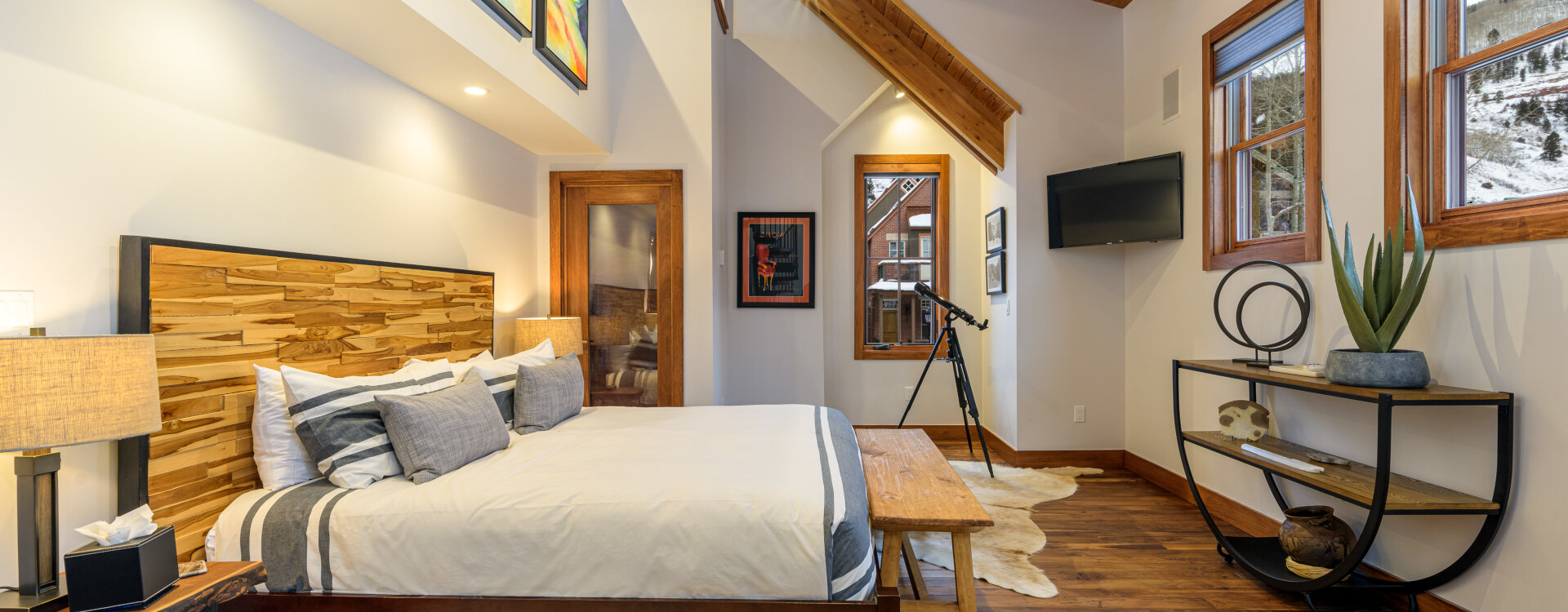 Telluride Home 994261