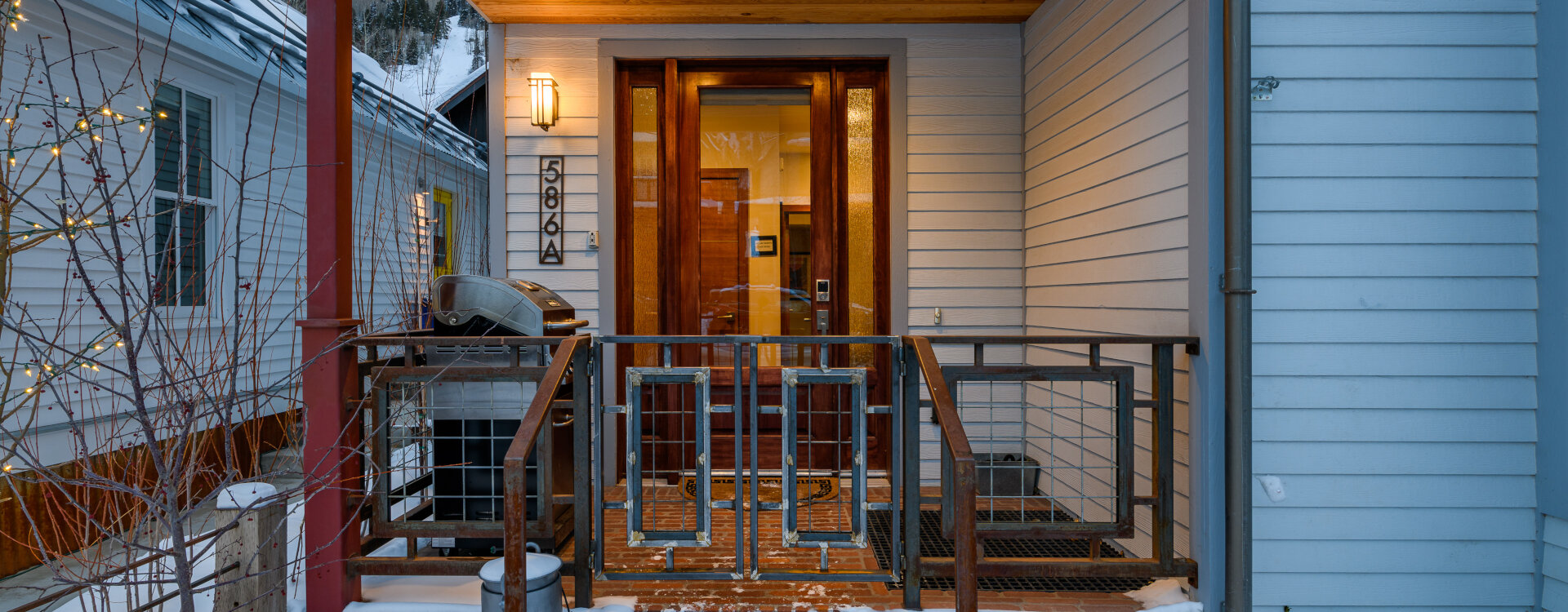 Telluride Home 994261