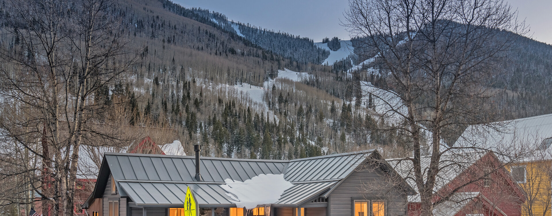 Telluride Home 994262