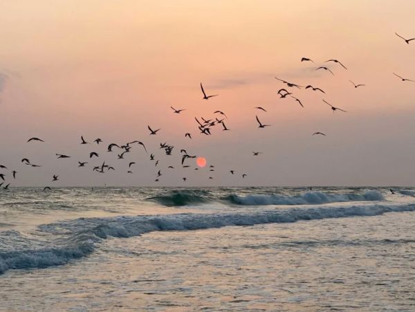 Beachside Charming Vacation Condo on Lido Key