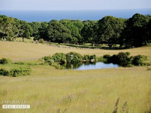 Cape Cod Home 994294