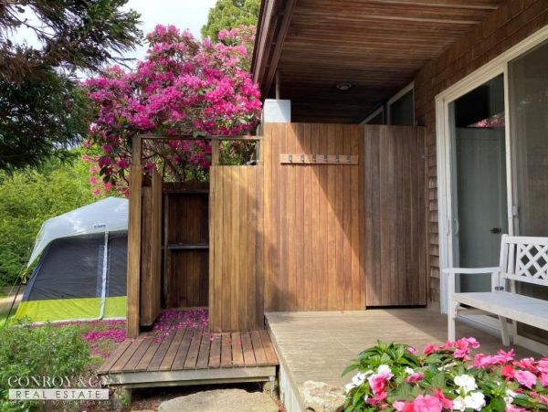 Cape Cod Home 994294