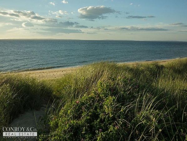 Cape Cod Home 994301