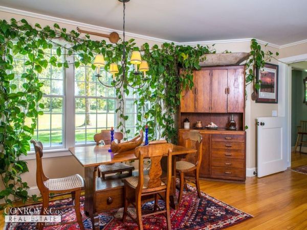 Cape Cod Home 994308