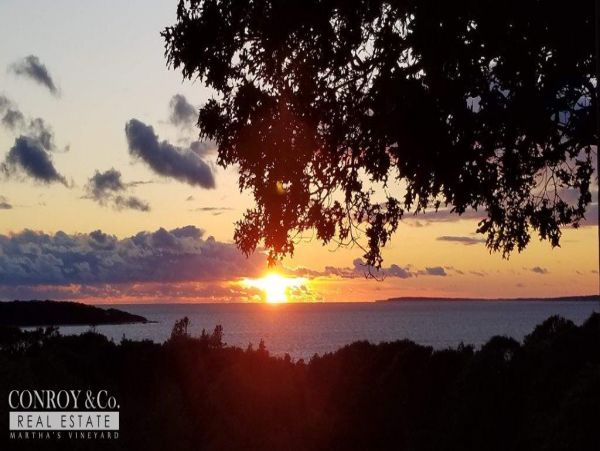 Cape Cod Home 994311