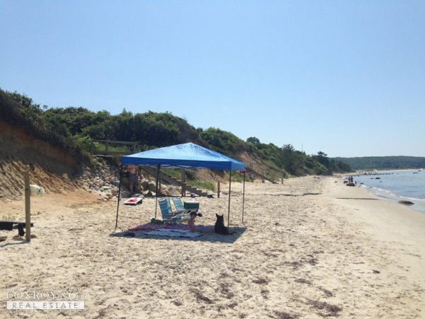 Cape Cod Home 994311