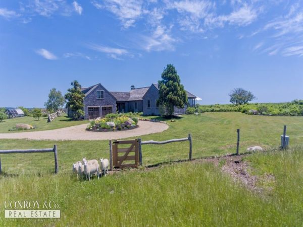 Cape Cod Home 994312