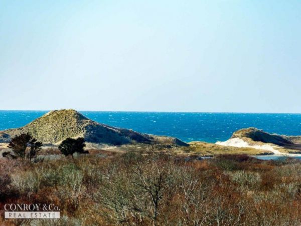 Cape Cod Home 994312