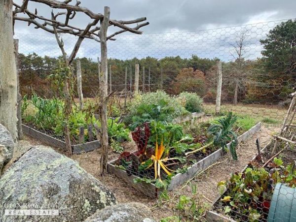 Cape Cod Home 994313