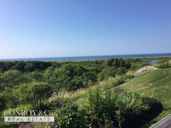 Cape Cod Home 994322