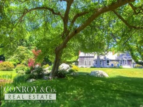 Cape Cod Home 994328