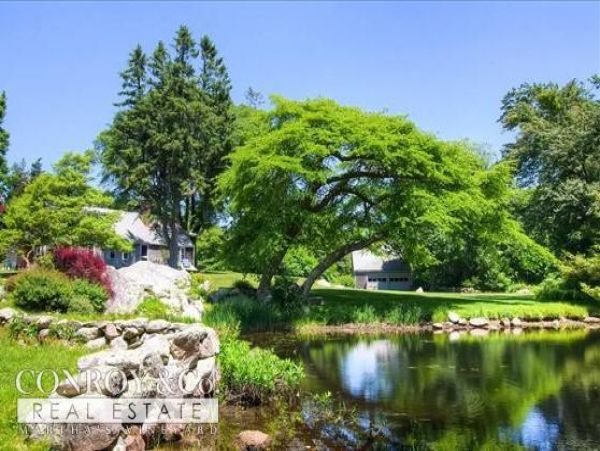 Cape Cod Home 994328