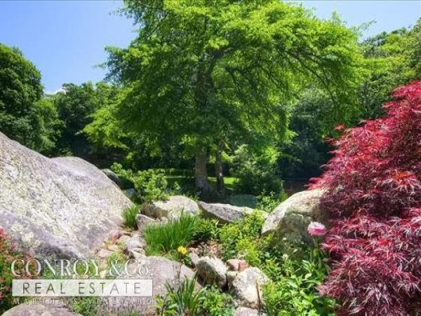 Cape Cod Home 994328