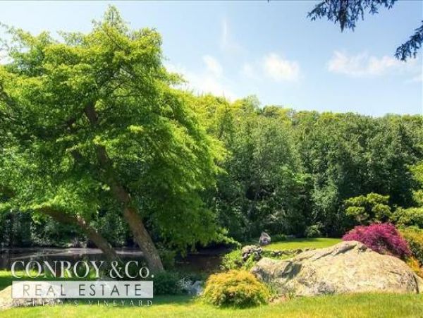 Cape Cod Home 994328