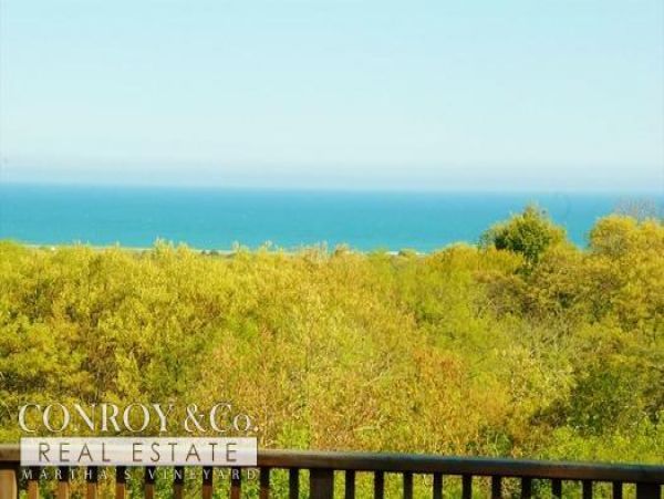 Cape Cod Home 994332
