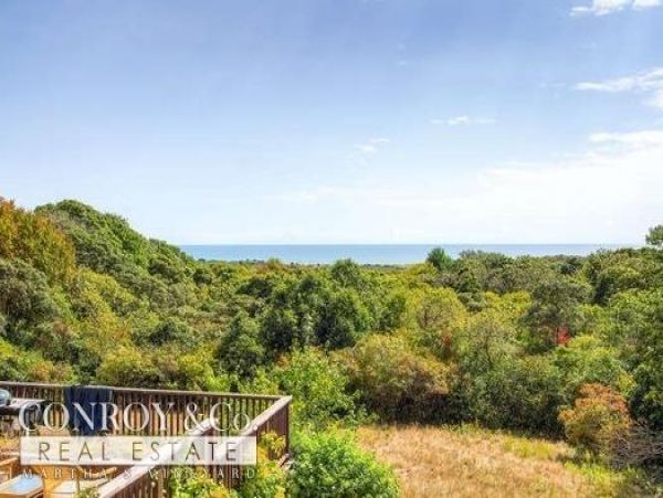 Cape Cod Home 994332