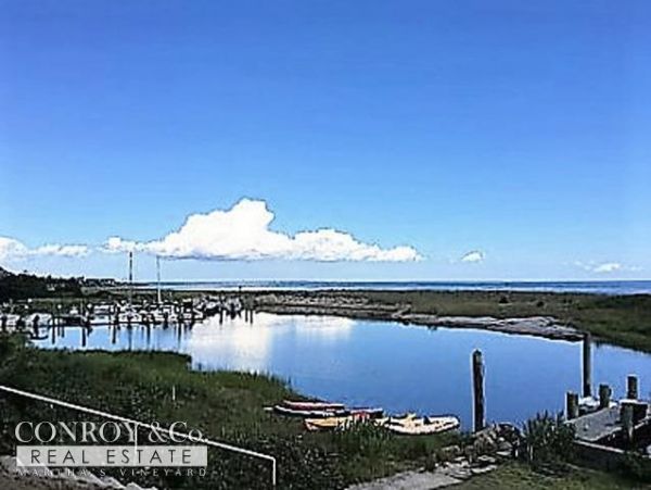 Cape Cod Home 994335