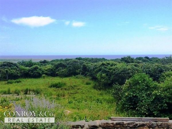 Cape Cod Home 994338
